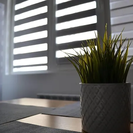 Modern Center 2 Bedroom 아파트 *