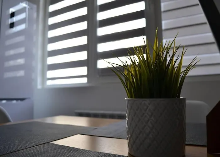 Modern Center 2 Bedroom 아파트 *